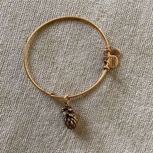 Alex and Ani Pineapple bangle gold used